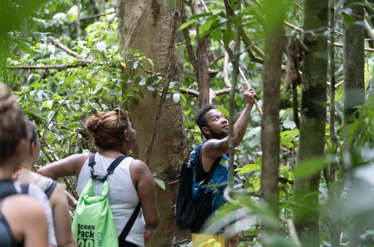 Our Jungle Camp - Eco Resort SHA Certified Phanom Esterno foto