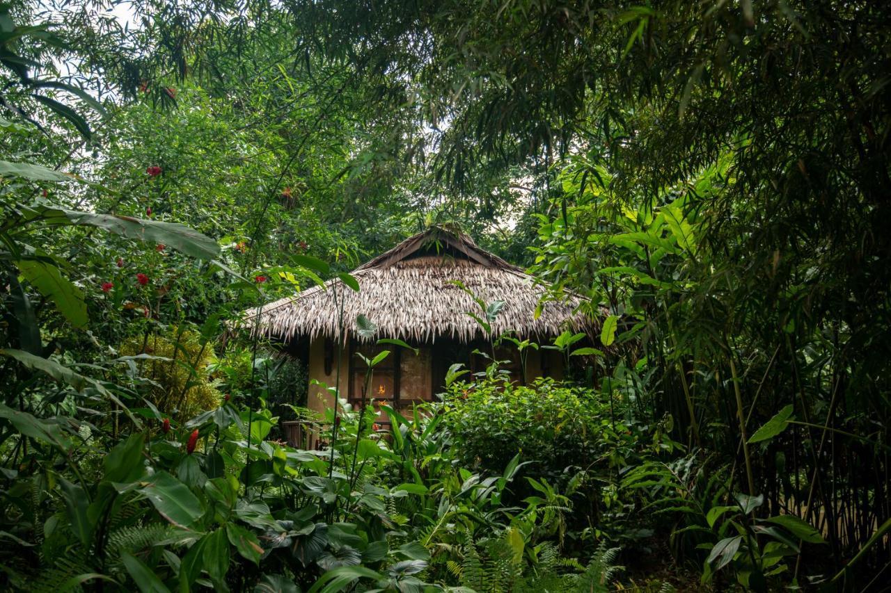 Our Jungle Camp - Eco Resort SHA Certified Phanom Esterno foto