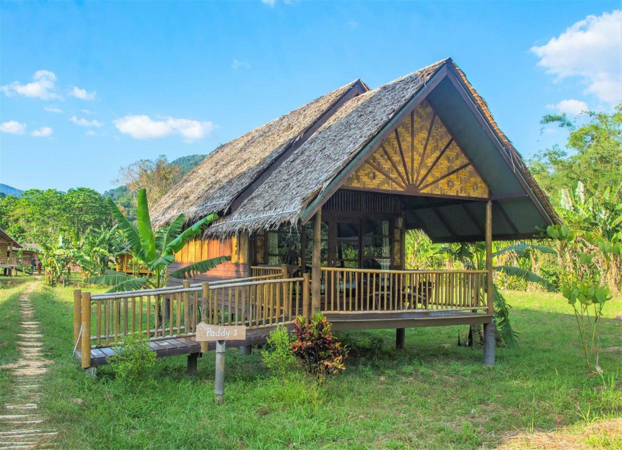 Our Jungle Camp - Eco Resort SHA Certified Phanom Esterno foto